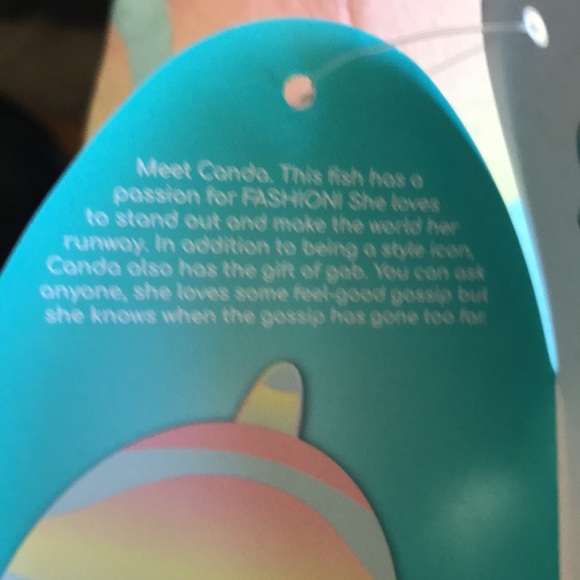 Canda rainbow fish squishmallow - Picture 7 of 7
